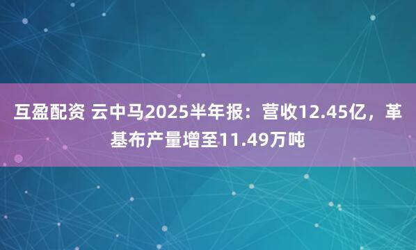 互盈配资 云中马2025半年报：营收12.45亿，革基布产量增至11.49万吨